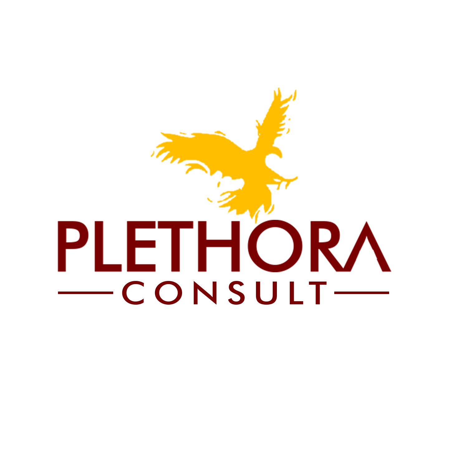 Plethora Consult
