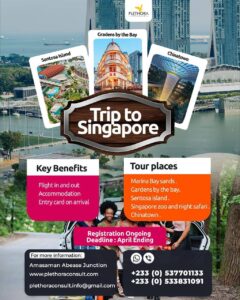 Plethora Consult promotional banner for a Trip to Singapore, showcasing key benefits like flights, accommodation, and entry card. Tour highlights include Marina Bay Sands, Gardens by the Bay, Sentosa Island, Singapore Zoo, and Chinatown, with a registration deadline in April.